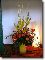 Foto:FLRA OLOMOUC 2009: