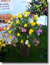 Foto:FLRA OLOMOUC 2009: