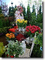 Foto:FLRA OLOMOUC 2009: