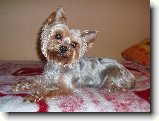 Foto:Fotky z ledna 2008: