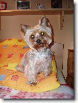 Foto:Fotky z ledna 2008: