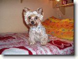 Foto:Fotky z ledna 2008: