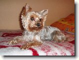 Foto:Fotky z ledna 2008: