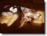 Foto:Fotky z �nora 2008:
