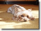 Foto:Fotky z �nora 2008: