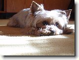 Foto:Fotky z �nora 2008: