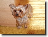 Foto:Fotky z �nora 2008: