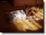 Foto:Fotky z �nora 2008: