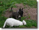 Foto:Odlou�en�:Hele tady jsem ��f j�... jasn�???
