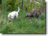 Foto:Odlou�en�:Dva lovci