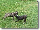 Foto:Odlou�en�:Otec a syn