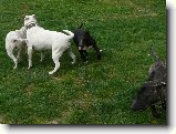 Foto:Odlou�en�:Fem fi m�lem ukouf jafyk....