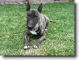 Foto:Odlou�en�:Smutn� kouk�m