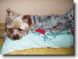 Foto:Fotky z dubna 2008: