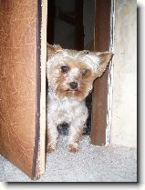 Foto:Fotky ze z��� 2008: