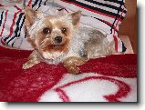 Foto:Fotky ze z��� 2008: