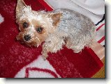 Foto:Fotky ze z��� 2008: