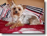 Foto:Fotky ze z��� 2008: