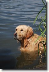 Foto:Bar�a a koup�n� s Gastonem:Gaston