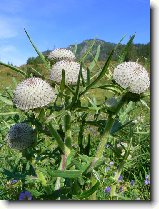 Foto:VYSOK A NZK TATRY: