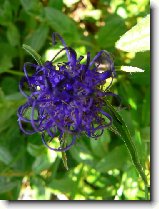 Foto:VYSOK A NZK TATRY: