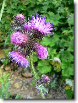 Foto:VYSOK A NZK TATRY: