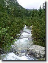 Foto:VYSOK A NZK TATRY: