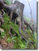 Foto:VYSOK A NZK TATRY: