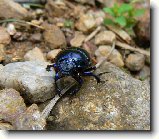 Foto:VYSOK A NZK TATRY: