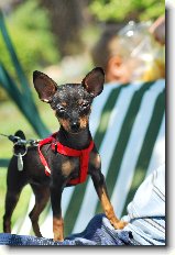 Foto:M�me novou k�mo�ku: