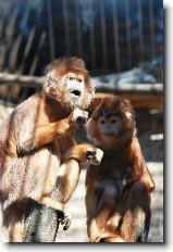 Foto:ZOO �st� nad Labem: