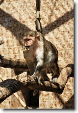 Foto:ZOO �st� nad Labem: