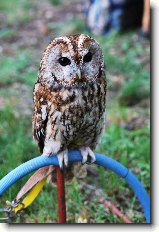 Foto:857. zah�jen� l�ze�sk� sez�ny: