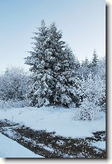 Foto:Zasn�en� krajina: