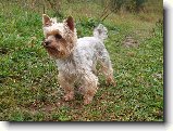 Foto:Fotky z ��jna 2008: