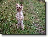 Foto:Fotky z ��jna 2008: