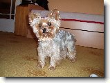 Foto:Fotky z listopadu 2008: