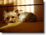 Foto:Fotky z ledna 2009: