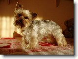Foto:Fotky z ledna 2009: