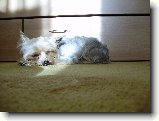 Foto:Fotky z ledna 2009: