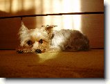 Foto:Fotky z ledna 2009: