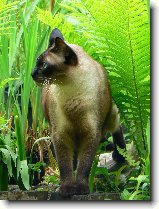 Foto:Filpek :-)stle krsn: