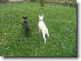Foto:Bul��� hry...:Jako na baterky...