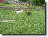 Foto:Bul��� hry...:Pro zm�nu hon�n�