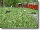 Foto:Bul��� hry...:Hon�n� pokra�uje 