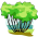 Pokojov� rostliny: Poloke�e