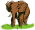 St�ty (Zem�pisy) Afriky