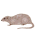 Mal� (do 100 000 km2)