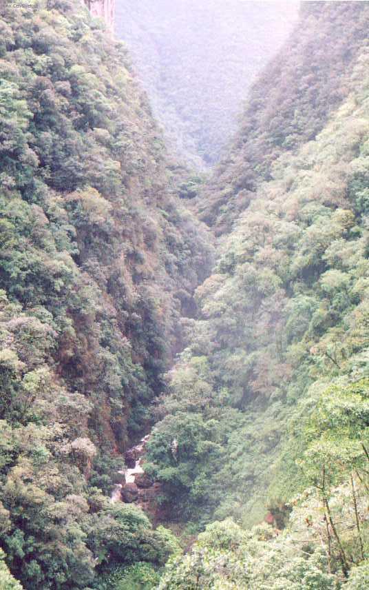 Fotky: Braz�lie (cestopis) (foto, obrazky)