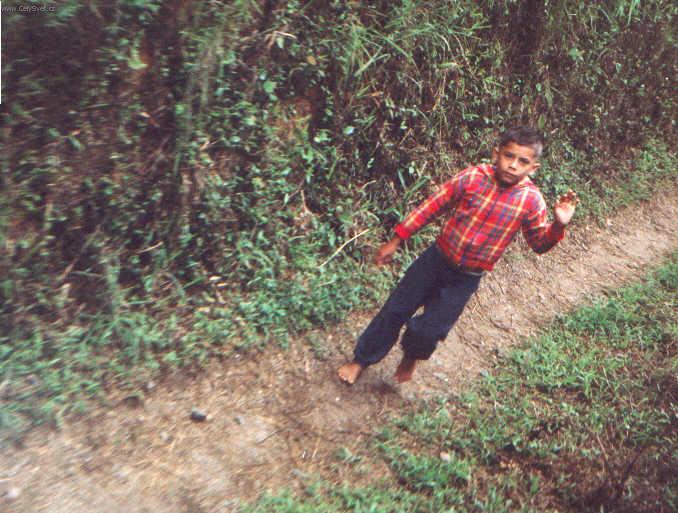 Fotky: Braz�lie (cestopis) (foto, obrazky)